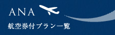ANA航空券付プラン